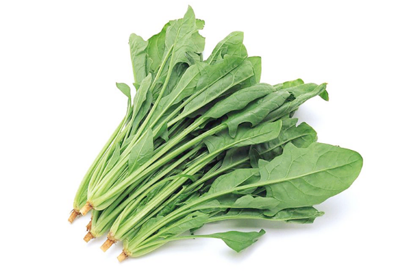 菠菜屬于涼性的嗎 菠菜是什么季節的
