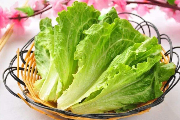 生菜是不是感光食物 生菜屬于發物嗎