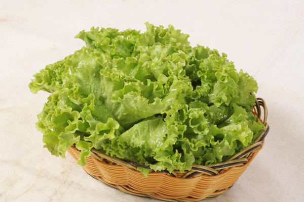 生菜是不是感光食物 生菜屬于發物嗎