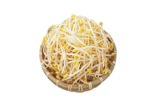 黃豆芽是不是涼性的 黃豆芽是不是發物