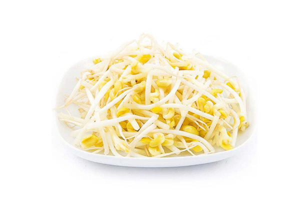 黃豆芽是不是涼性的 黃豆芽是不是發物