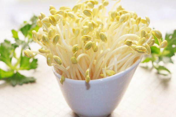 黃豆芽的嘌呤含量高嗎 黃豆芽對(duì)身體有什么好處