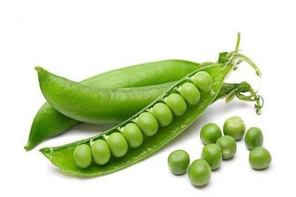 豌豆的營養價值與食用功效 豌豆的營養成分