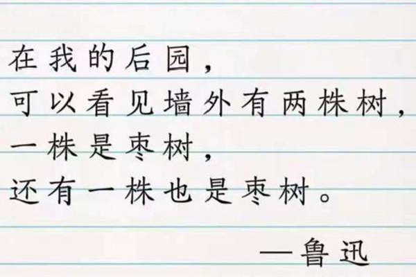 廢話文學是什么意思網(wǎng)絡用語 廢話文學是什么時候火的