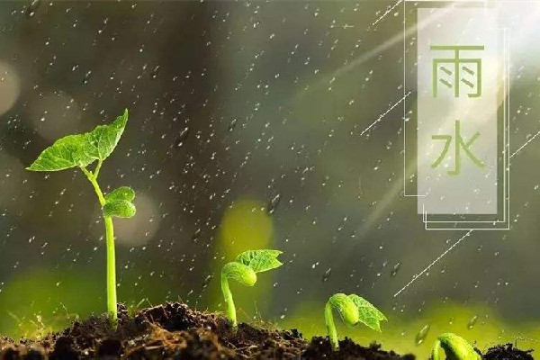 雨水節氣吃什么傳統食物 雨水節氣要吃面條嗎