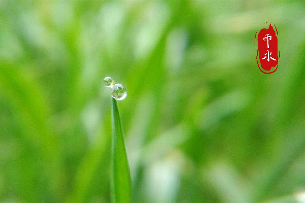雨水節氣吃什么傳統食物 雨水節氣要吃面條嗎