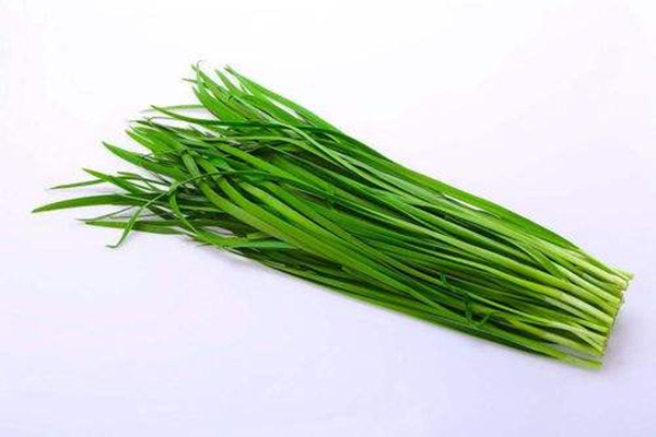 韭菜是不是發物 韭菜是不是感光食物