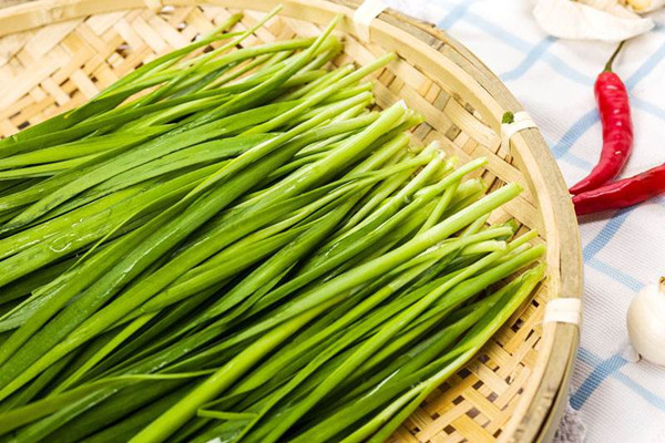 韭菜是不是發物 韭菜是不是感光食物