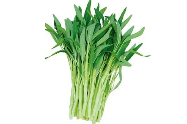 通心菜有什么禁忌 通心菜發苦還能吃嗎