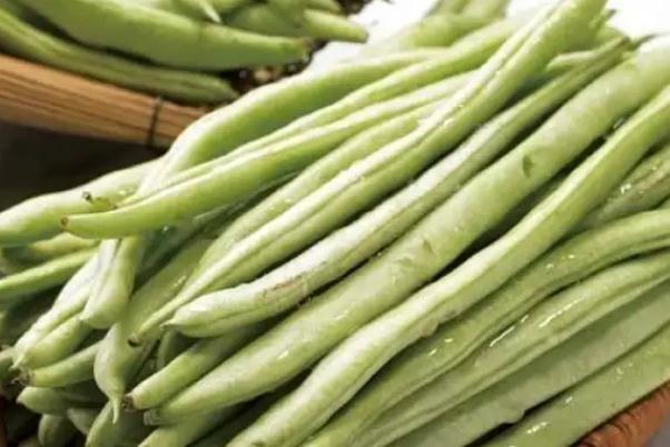 四季豆是什么季節的菜 四季豆要放冰箱嗎