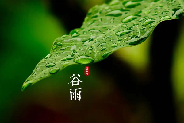 谷雨節氣吃什么傳統食物 谷雨節氣養生吃什么