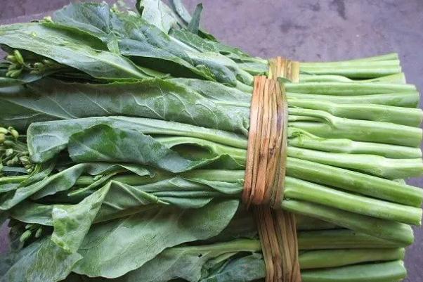 菜苔孕婦可以吃嗎 菜苔的營養價值及功效