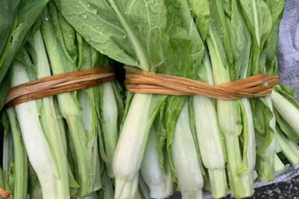 菜苔發苦是什么原因 菜苔發苦能吃嗎