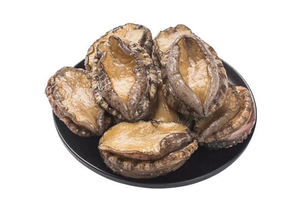 鮑魚會發胖么 鮑魚會上火嗎