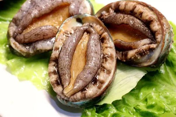 鮑魚的功效與作用及營養 鮑魚怎么處理干凈