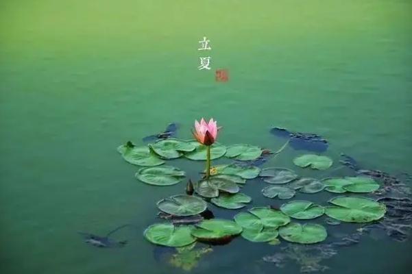 立夏節氣的特點和風俗 立夏節氣是幾月幾日