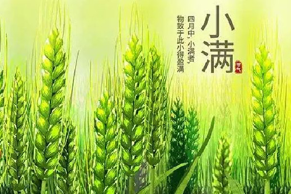 小滿可以剪頭發嗎 小滿理發好嗎