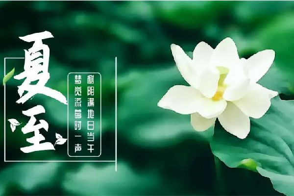 夏至吃什么傳統食物 夏至要吃餃子嗎