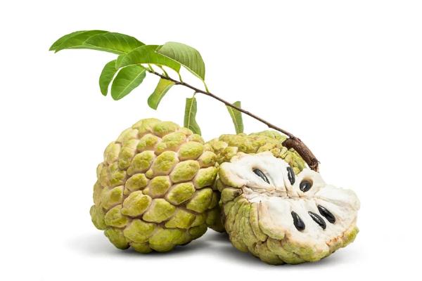番荔枝孕婦可以吃嗎 番荔枝是哪里的特產