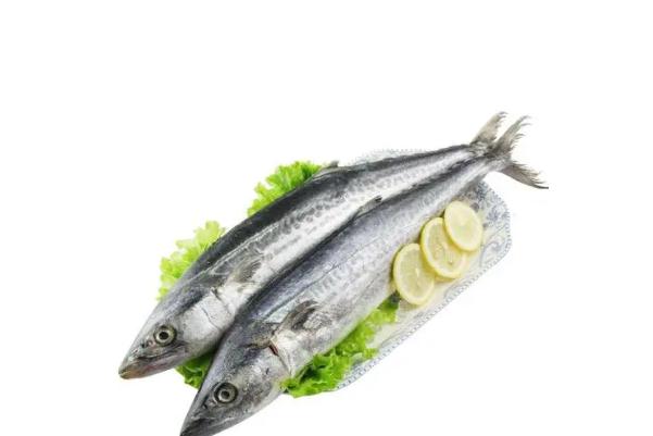 鲅魚和青魚的區別 鲅魚是寒性還是熱性