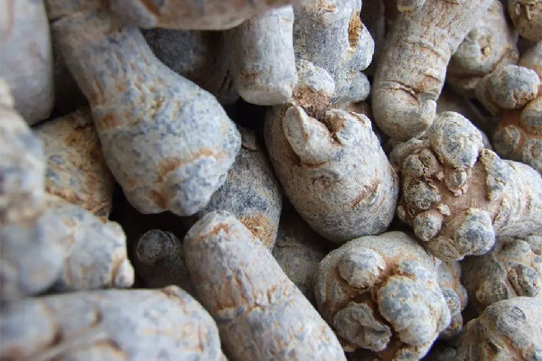 三七會影響月經嗎 三七月經不調可以喝嗎