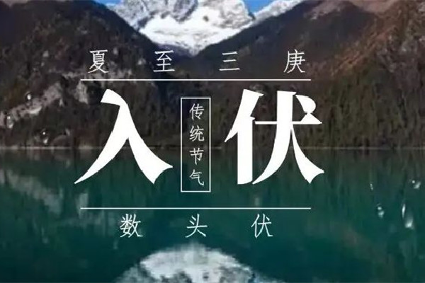 入伏吃餃子還是面條 入伏吃什么養生