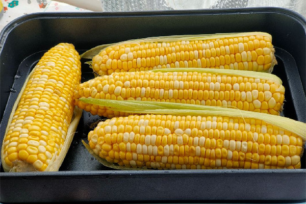 甜玉米和糯玉米區別 甜玉米和糯玉米哪個含糖量高