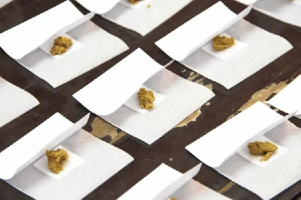三伏貼要連續貼幾天 三伏貼可以重復貼嗎