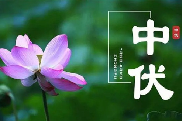 中伏可以吃羊肉嗎 中伏吃什么傳統食物