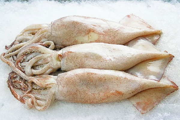 新鮮魷魚和泡發魷魚的區別 新鮮魷魚買大的好還是小的好