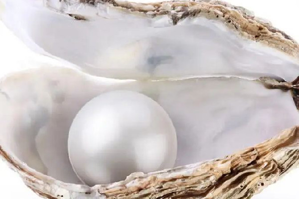 珍珠是淡水珍珠好還是海水珍珠好 珍珠淡水和海水的區別