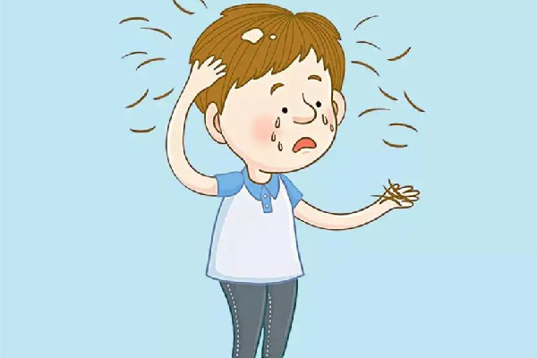 掉發可以用中藥調理嗎 掉發喝中藥要多久見效