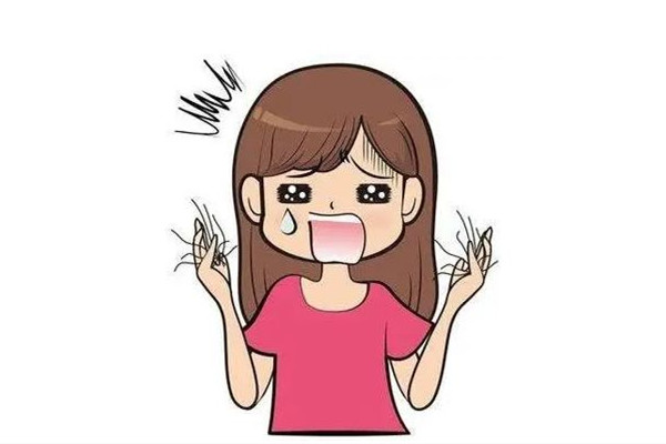 掉發可以用中藥調理嗎 掉發喝中藥要多久見效