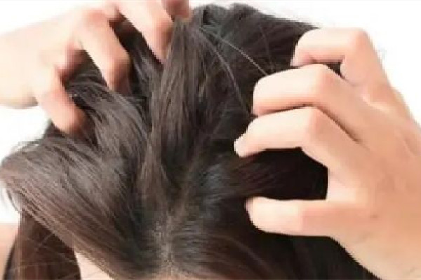 中南路蔤絲源Silk Origin新生養發美容中心頭發護理做的好嗎 頭發護理用什么