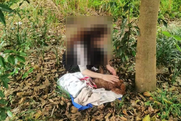 網曝成都多地出現(xiàn)“毒狗”事件 狗狗出門要帶什么東西