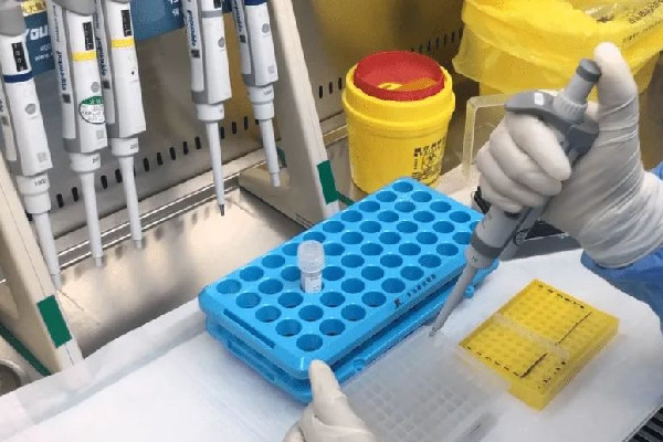 核酸機構造假頻現 官方:嚴肅處置 專家:核酸檢測公司該不該上市