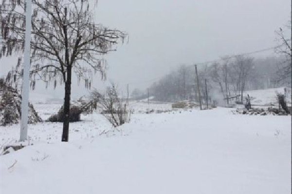 冷空氣發威上海已見初雪 下雪要注意什么