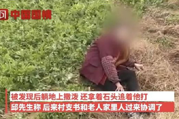 老人多次偷豌豆尖被抓現行躺地撒潑 豌豆尖是什么菜