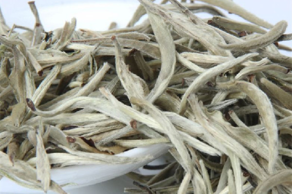 白毫銀針的功效和作用 白毫銀針適合什么季節飲用