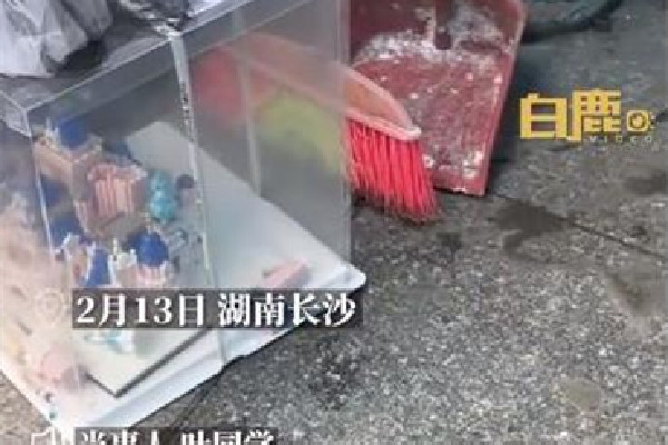 女生情人節垃圾桶撿到積木城堡 積木可以搭成什么
