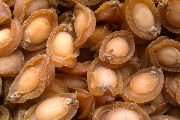 干鮑魚有什么營養價值 干鮑魚對人體有什么好處
