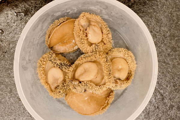 干鮑魚有沒有保質期 干鮑魚可以存放多久