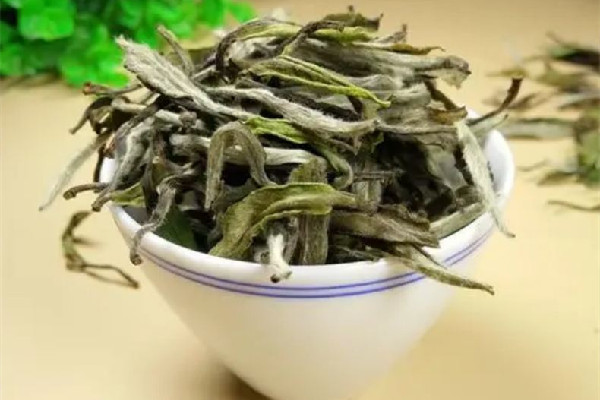 白牡丹茶發霉了怎么辦 白牡丹茶為什么有霉味