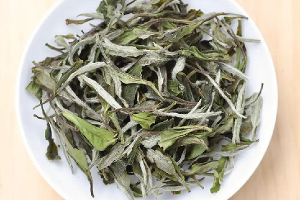 白牡丹茶發霉了怎么辦 白牡丹茶為什么有霉味