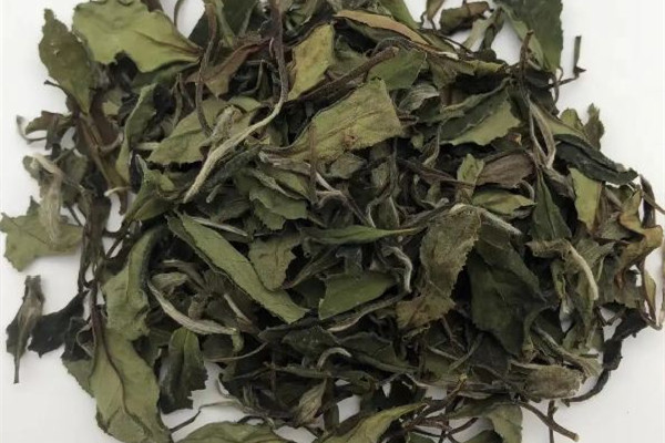 老白茶是發酵茶嗎 老白茶和普洱哪個好