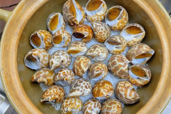 花螺怎么做好吃又簡(jiǎn)單 花螺水開后煮幾分鐘