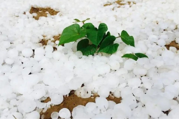 南方多地遭冰雹襲擊 冰雹是哪個季節下的