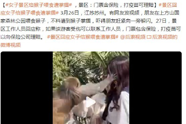 女子給猴子喂食被掌摑景區回應 猴子會主動攻擊人嗎