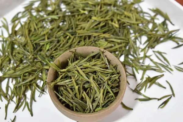 安吉白茶和福鼎白茶的區別 安吉白茶和福鼎白茶哪種好