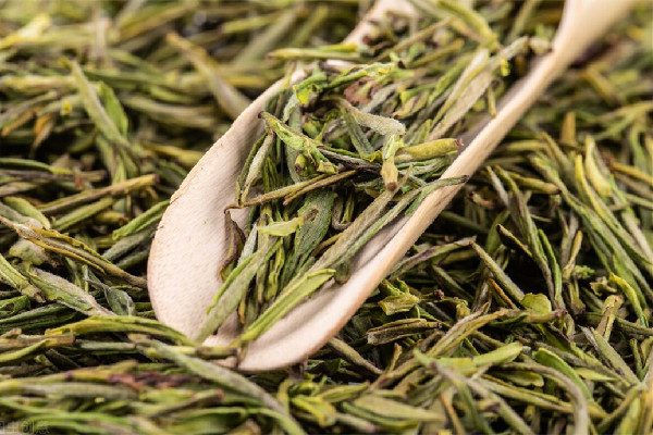 茶農稱赤腳踩茶葉是傳統工藝 茶葉是怎么制作出來的